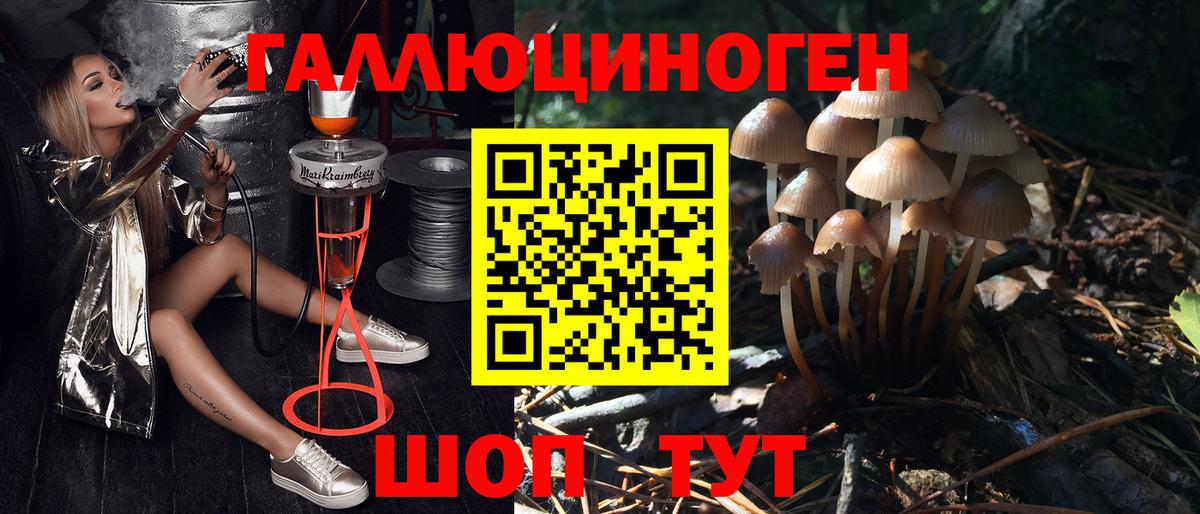 Псилоцибиновые грибы мицелий  Галлюциногенные грибы мицелий  Вход с VPN  Новороссийск 