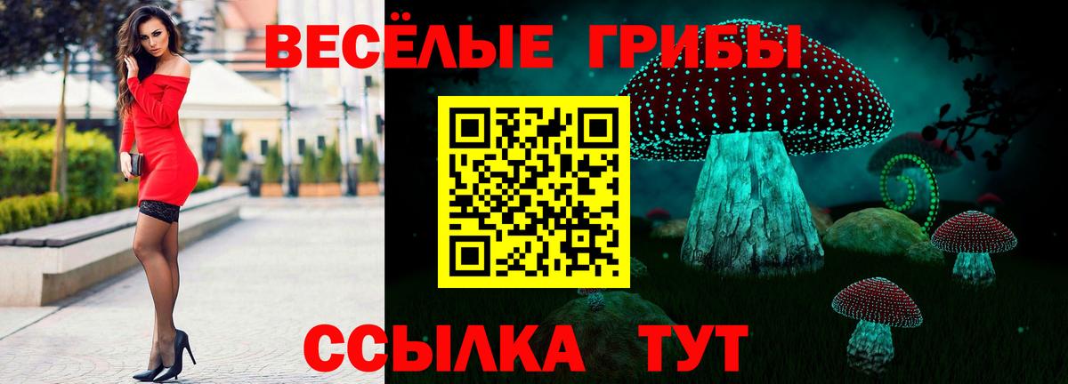 Каннабис  Новороссийск  Мефедрон   Вход с VPN  Экстази 