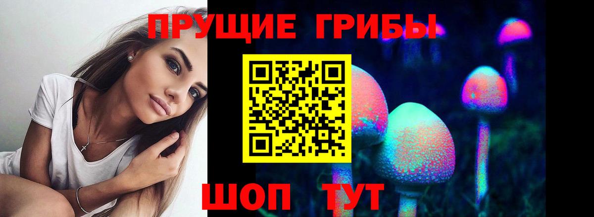 Галлюциногенные грибы прущие грибы Новороссийск